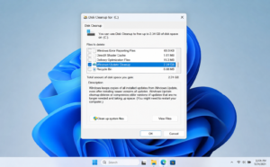 Windows 11 Disk Cleanup showing Windows Update Cleanup selected